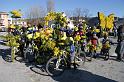 velo carnavalesque 4